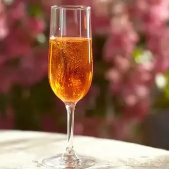 Italiaanse Prosecco Aperitief