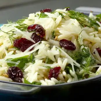 Zoetzure Orzo Salade met Venkel en Cranberry's