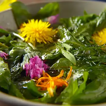 Superfrisse Kruidensalade