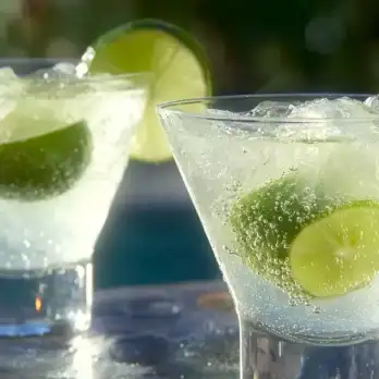 Verfrissende Gember-Citroen-Limoen Martini