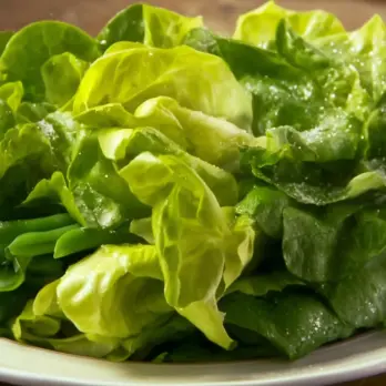 Verse Groene Salade met Citroendressing